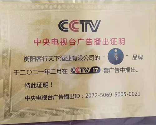 CCTV广告播出证明